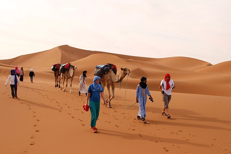 Morocco Desert Tour, Camel Riding In Morocco Desert