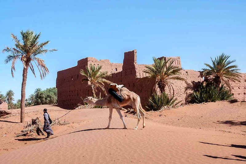 Marrakech Desert Trip, Camel Riding In Morocco Desert